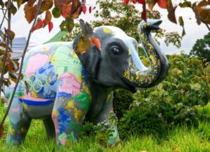 Thames Hospice - Hope