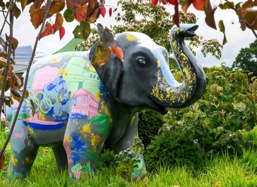 Thames Hospice - Hope