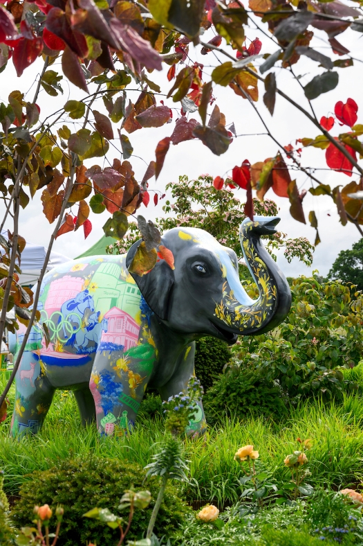 Thames Hospice - Hope