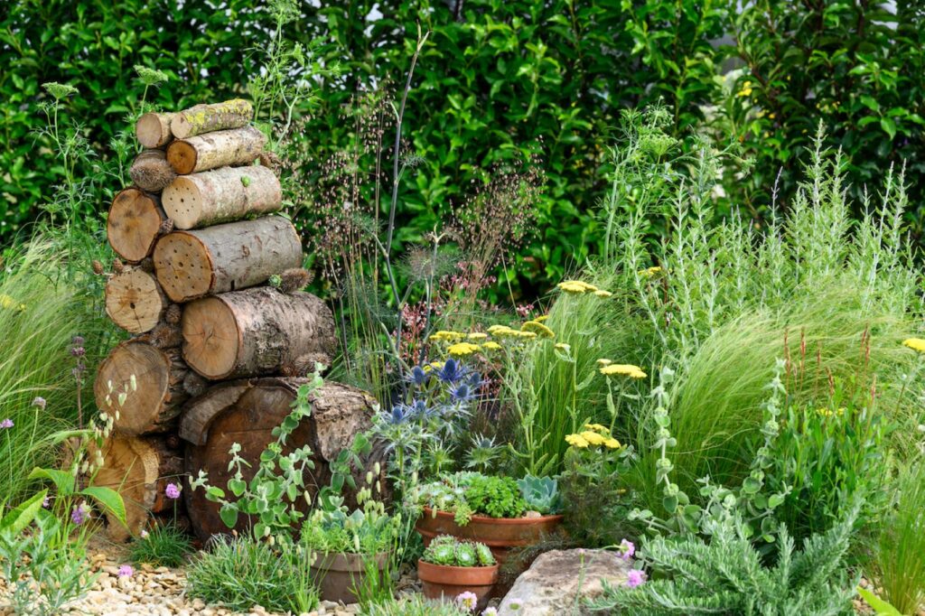 Royal Windsor Flower Show Master Gardeners