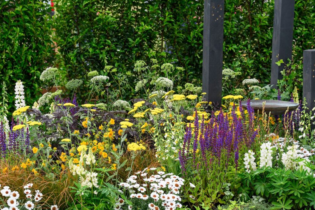 Master Gardener Competition Royal Windsor Flower Show