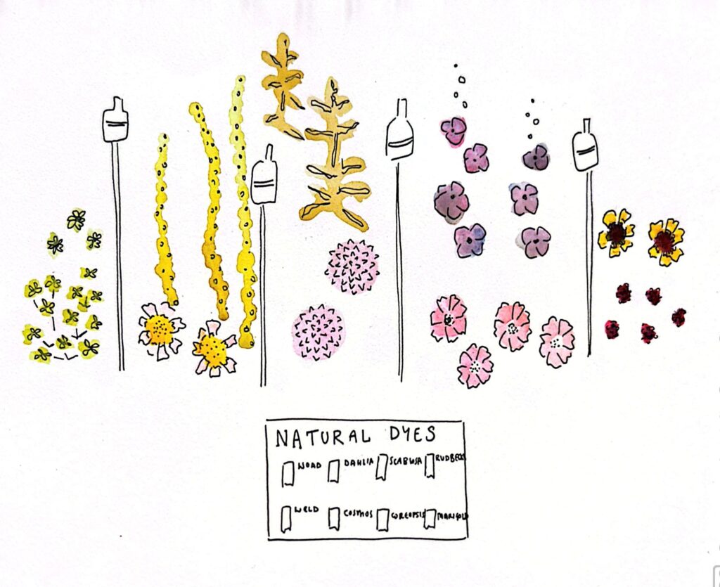 Louisa Macleod Garden Maker Planting Plan