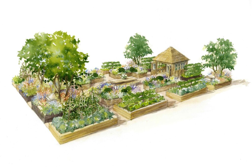 The Plants With Purpose Garden