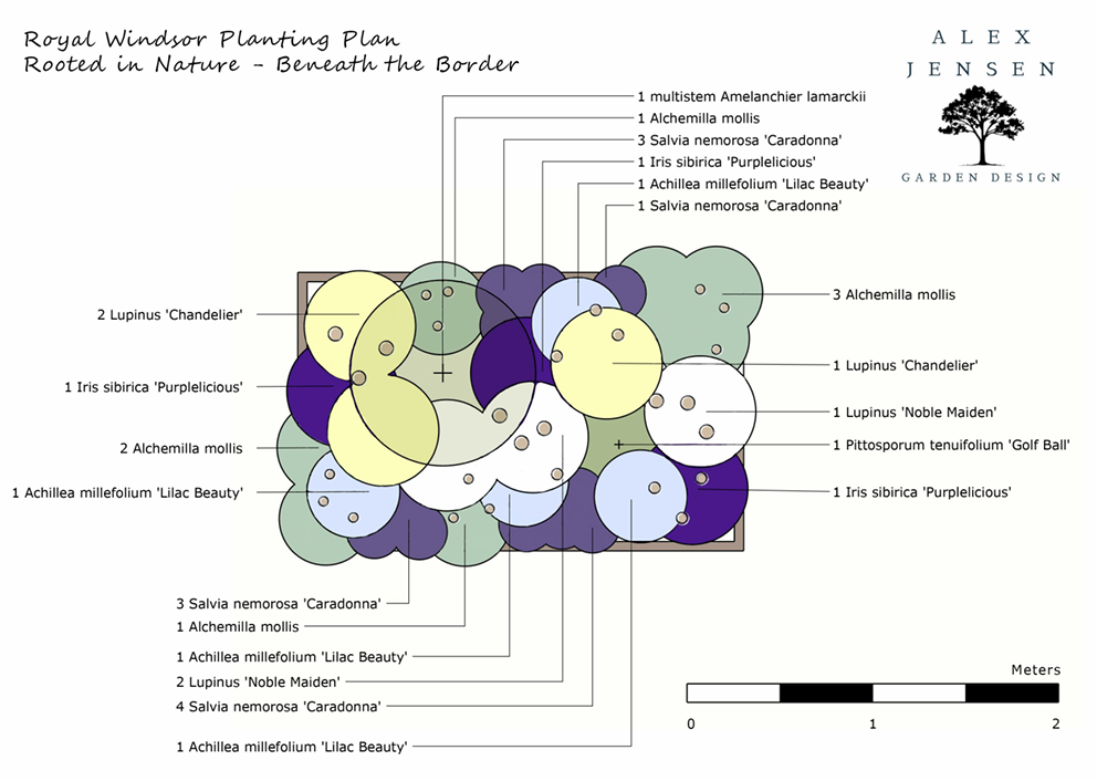 Planting Plan Alexandra Jensen
