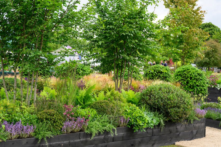 RWFS Show Garden 2025