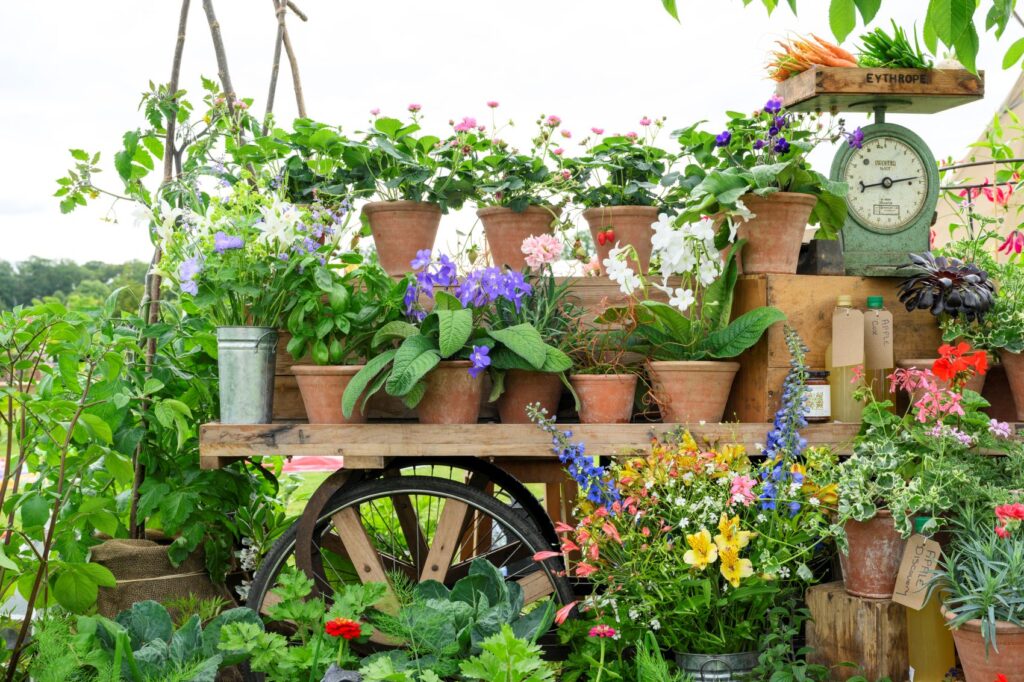 Master Gardener Cup Royal Windsor Flower Show